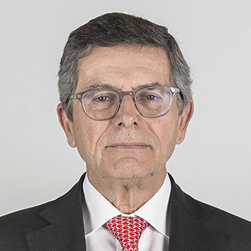 Eng.º Vitor Manuel Domingues dos Santos 