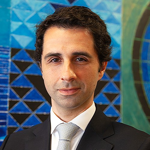 Dr. Pedro Veiga da Costa