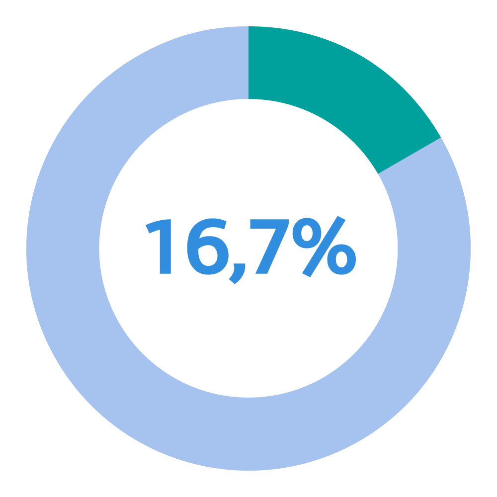 16,7% 16,7%