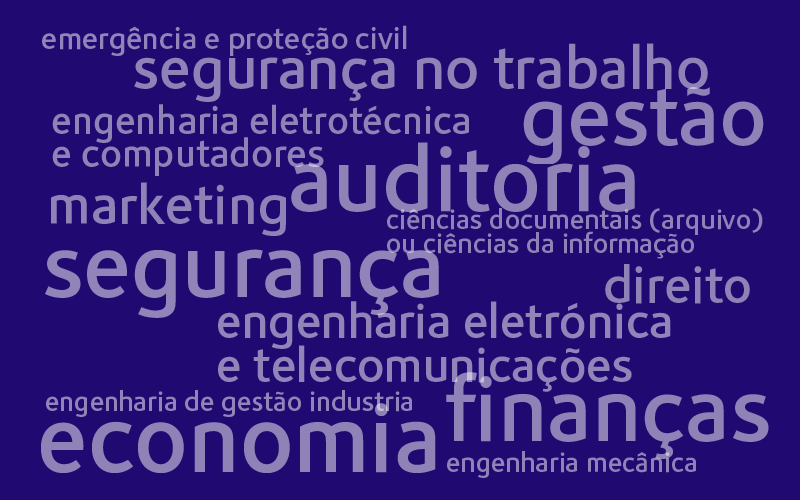 Direito, comunicação e marketing, contabilidade e fiscalidade, engenharia civil, eletrotécnica, mecânica e mecatrónica, gestão industrial, matemática e informática