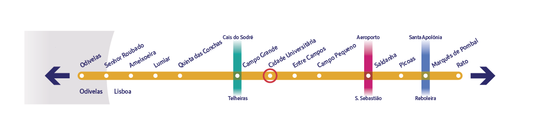 Diagrama específico da linha Amarela a assinalar a estação Cidade Universitária