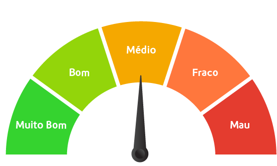 Imagem em forma de gráfico que representa que o valor do indicador Particulas em suspensão - PM 2.5  é médio