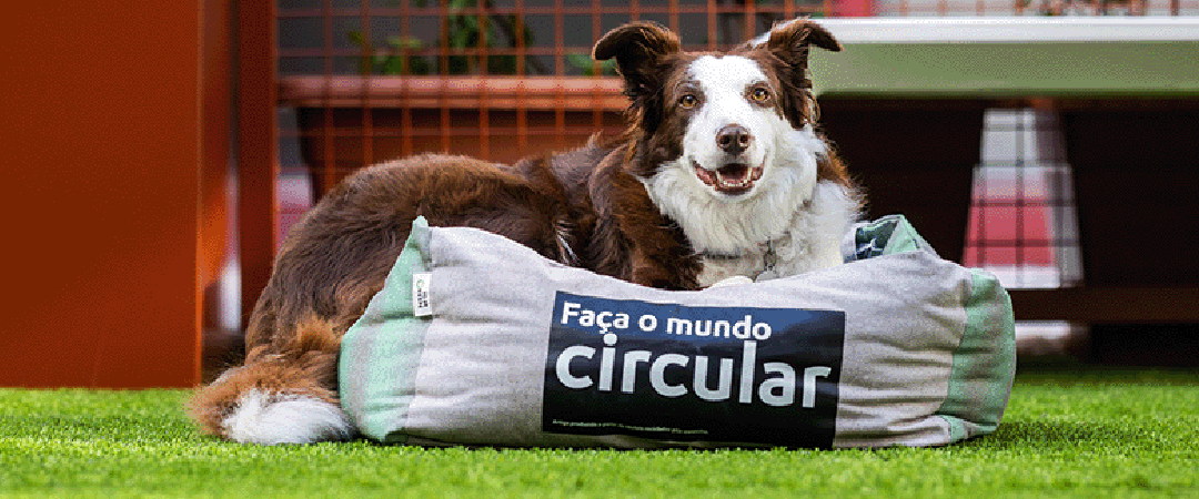 Camas para cães